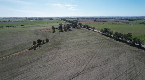 300 hectáreas. Agrícola Ganadero en Colonia Uruguay